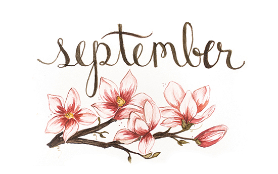 September | 2014 appointment calendar, watercolour, floral
